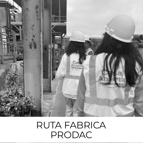 Ruta Arquitectónica N° 5