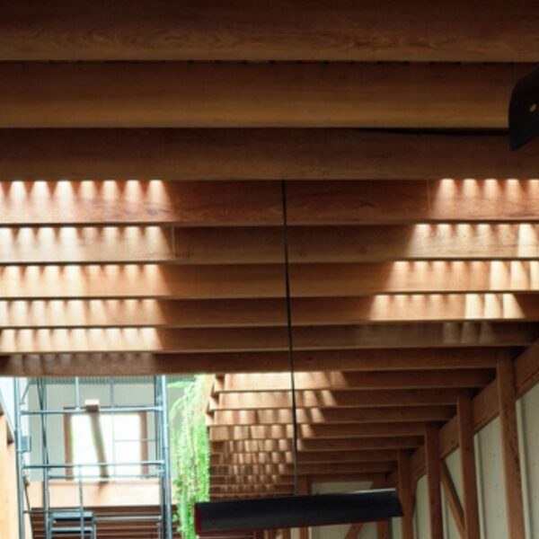 galeria6